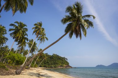 güzel tropikal beach Adası koh chang adlı 