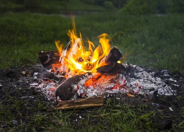 Fireplace in forest at dusk — Stock Photo, Image