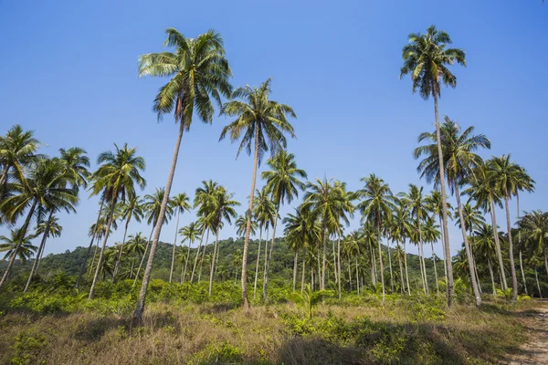 Beautiful tropical beach at island Koh Chang — Stock Photo, Image