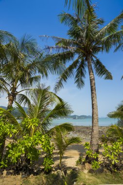 güzel tropikal beach Adası koh chang adlı 