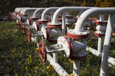 Ormandaki yağ pompası