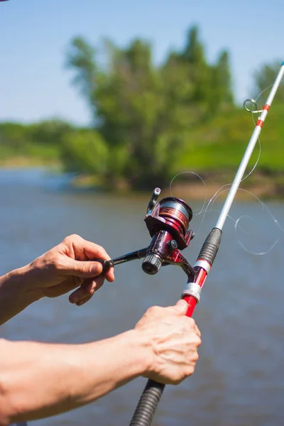 Fischköder Auf Der Natur — Stockfoto