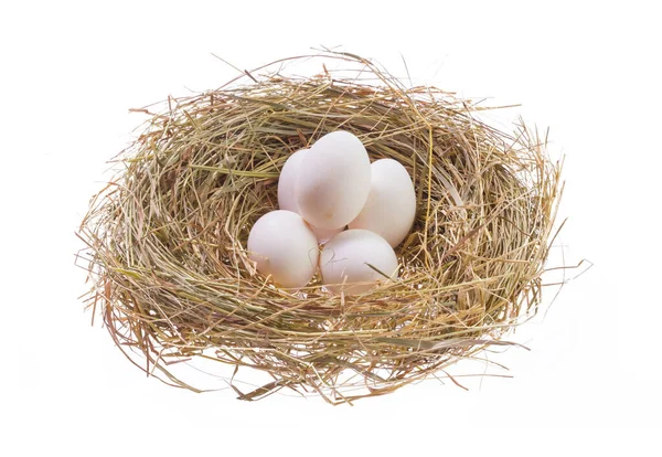 Beyaz Arka Planda Izole Edilmiş Paskalya Yumurtaları Olan Yuva — Stok fotoğraf