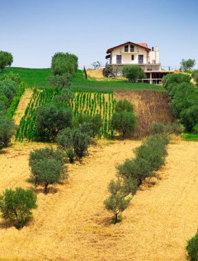 İtalya 'nın Toskana ilinde evleri tek başına duran kırsal alan.