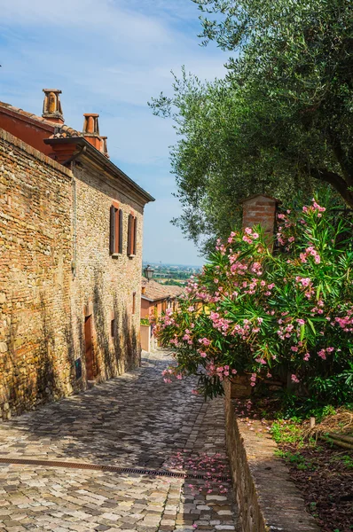 Italian street — Stock Photo, Image