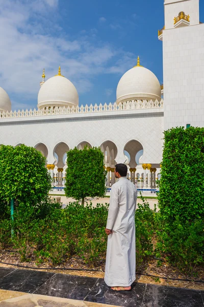 Šajch zayed mešita — Stock fotografie
