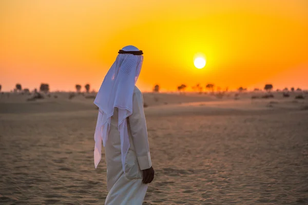 Arabian desert — Stock Photo, Image