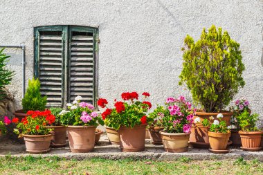 pencere ve kapı saksı ile dekore edilmiştir.