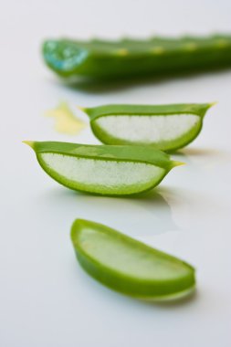Aloe yaprakları kesti