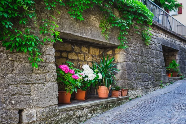 Ventanas y puertas en una antigua casa decorada con flores —  Fotos de Stock