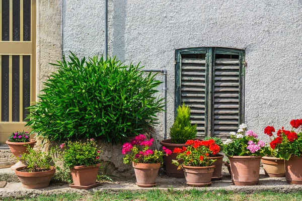 Окна и двери в старом доме, украшенном цветами — стоковое фото