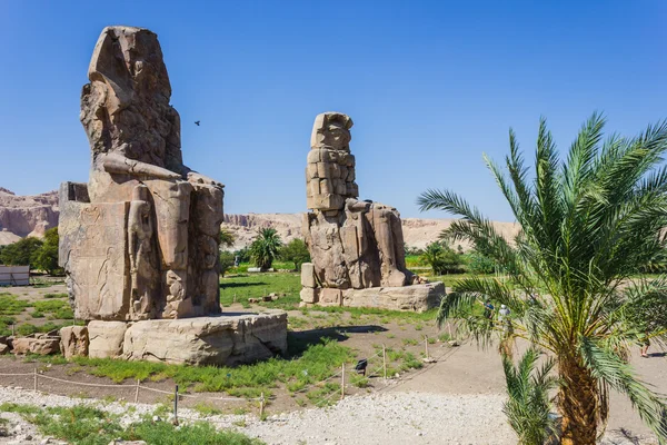 Colosos de Memnon, Valle de los Reyes, Luxor, Egipto —  Fotos de Stock