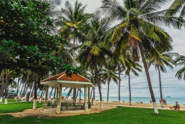 Palmiye ağaçları arasında Konuk evleri