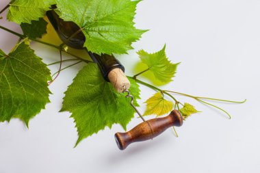 Tirbuşon ve mantar.