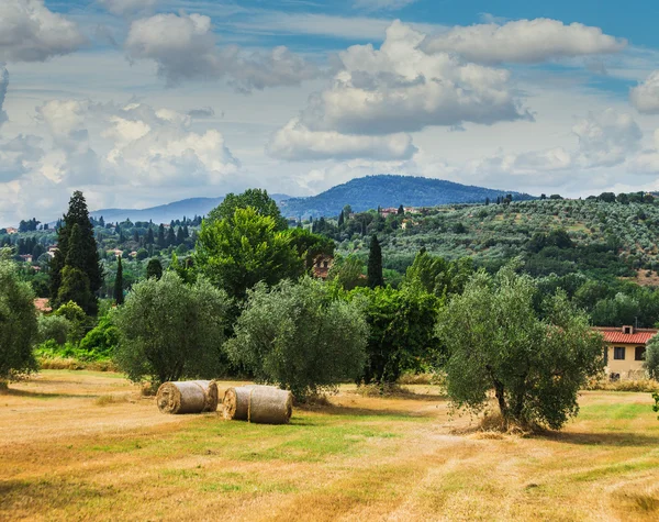 Ländliche Landschaft — Stockfoto