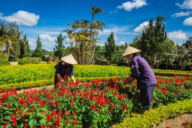 Da Lat Çiçek Bahçesi