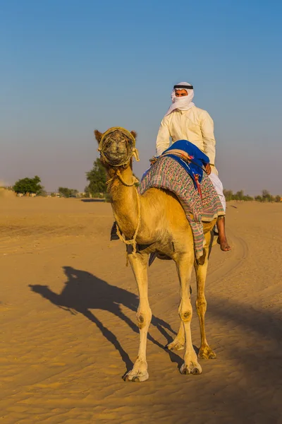 Woestijn landschap met kameel — Stockfoto