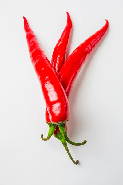 Rote Chilischoten — Stockfoto