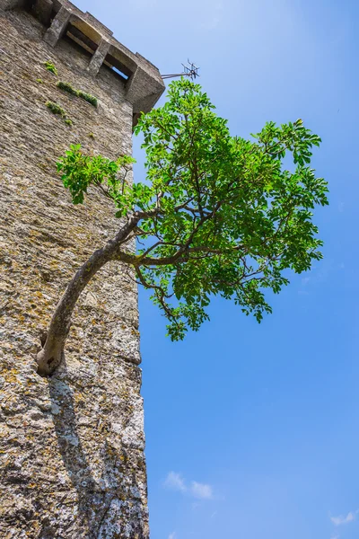 Forteresse de Guaita sur Saint-Marin . — Photo