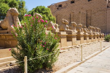 Mısır'daki Karnak Tapınağı kalıntıları