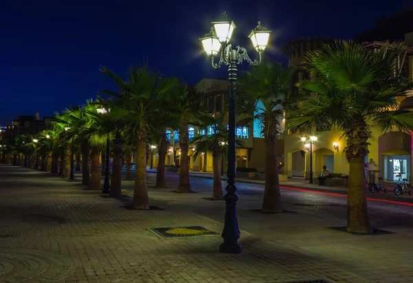 Palmbomen in Hurghada nachts — Stockfoto