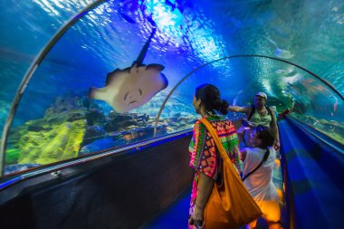 Loro parque akvaryumdaki su tüneli