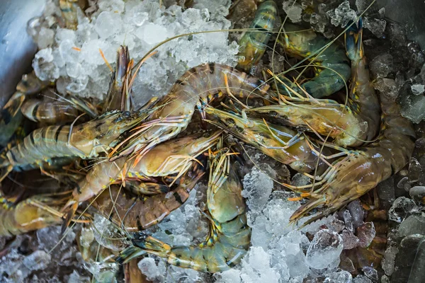 Frische Meeresfrüchte auf dem Fischmarkt — Stockfoto