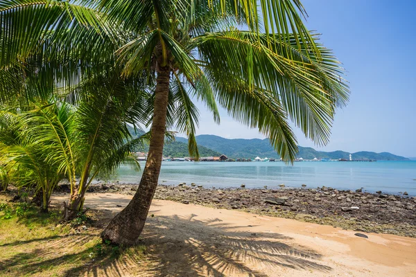 Bela praia tropical — Fotografia de Stock