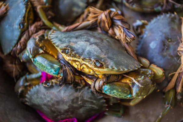 Krabben binden sich am Markt — Stockfoto