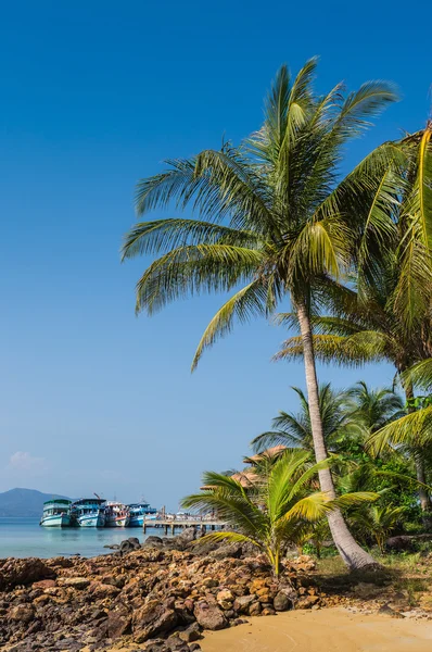 Mooi tropisch strand — Stockfoto