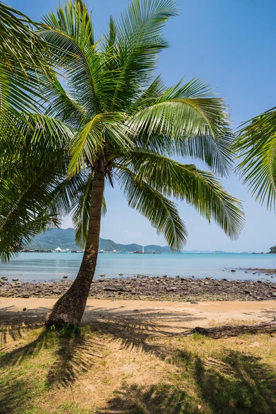 Vacker tropisk strand — Stockfoto