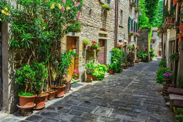 イタリア トスカーナ地方の町の通り — ストック写真