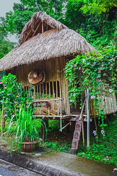 Cabaña en la carretera en la selva —  Fotos de Stock