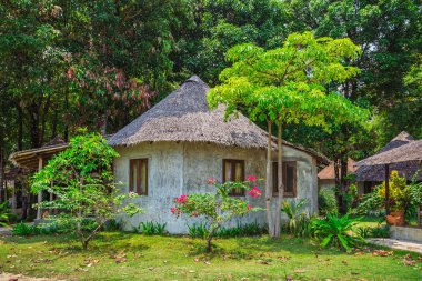 Yeşil orman ve kulübe