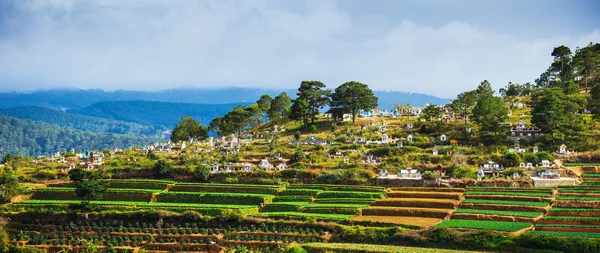 Menschen besuchen Friedhof von Vietnam — Stockfoto