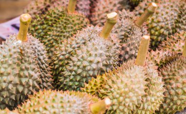 Durian meyve Tayland