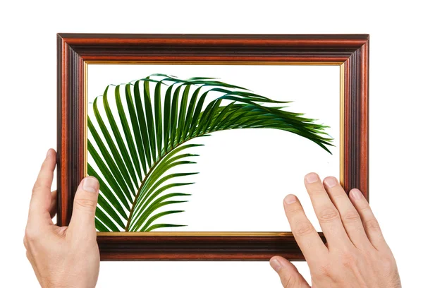 Photo Frame in  hands — Stock Photo, Image