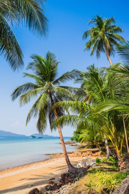 Güzel tropikal beach Koh Chang adlı