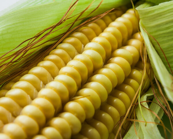 Сладкая кукуруза
