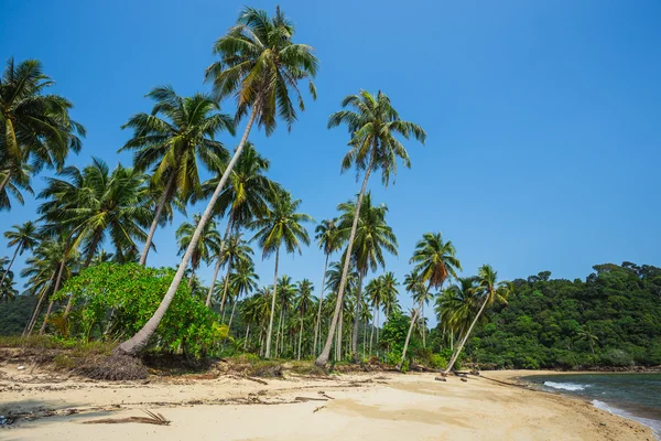 Belle plage tropicale à Koh Chang — Photo