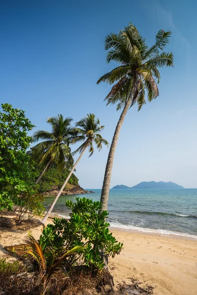 Beautiful tropical beach — Stock Photo, Image