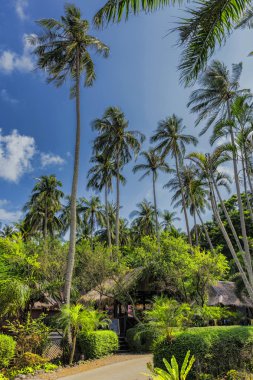 Kumsalda adası Koh Chang