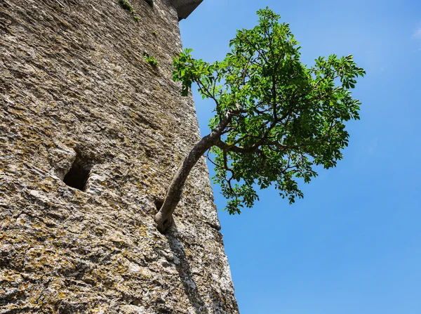 La fortaleza de Guaita en San Marino . — Foto de Stock