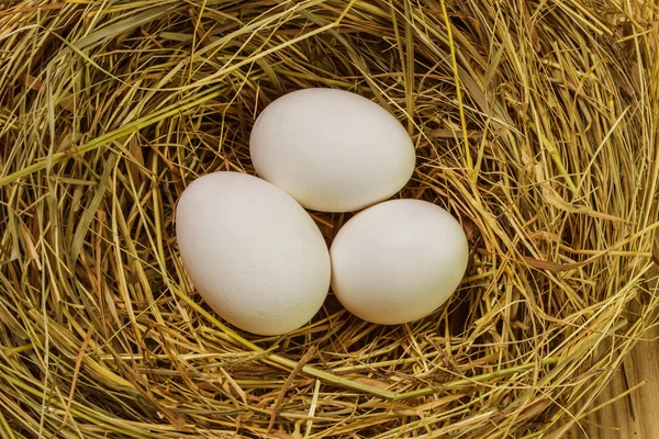 Paskalya yumurtaları ile iç içe geçirme — Stok fotoğraf