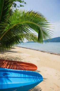 Güzel tropik sahilde kayaklar