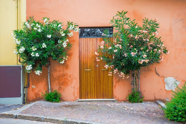 Fenêtre et porte dans vieille maison — Photo