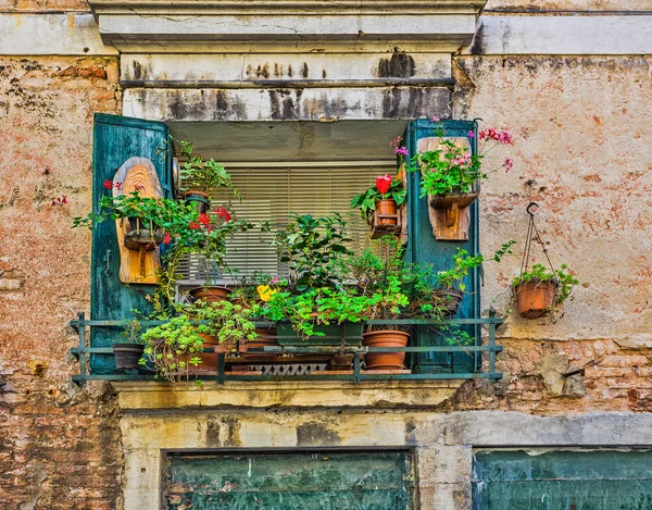 Beautiful vintage balcony with colorful flowers and doors — Stock Photo ...