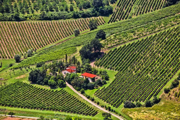 Paesaggio rurale con case — Foto Stock