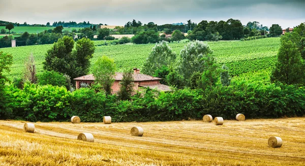 Landsbygdens landskap med hus — Stockfoto