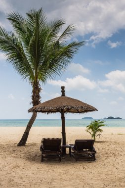 plaj şemsiye ve şezlonglar